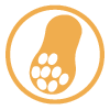 May contain traces of peanuts and peanut products